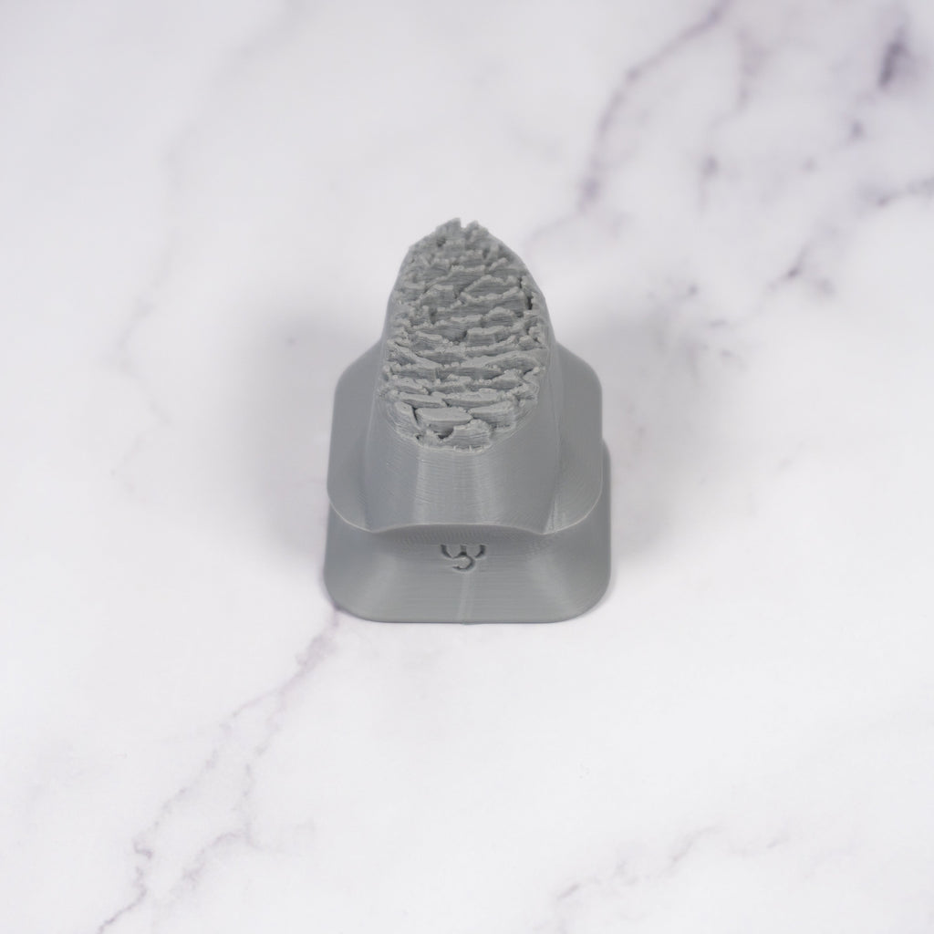 Pinecone Stamp - Photo Textured - Style #2