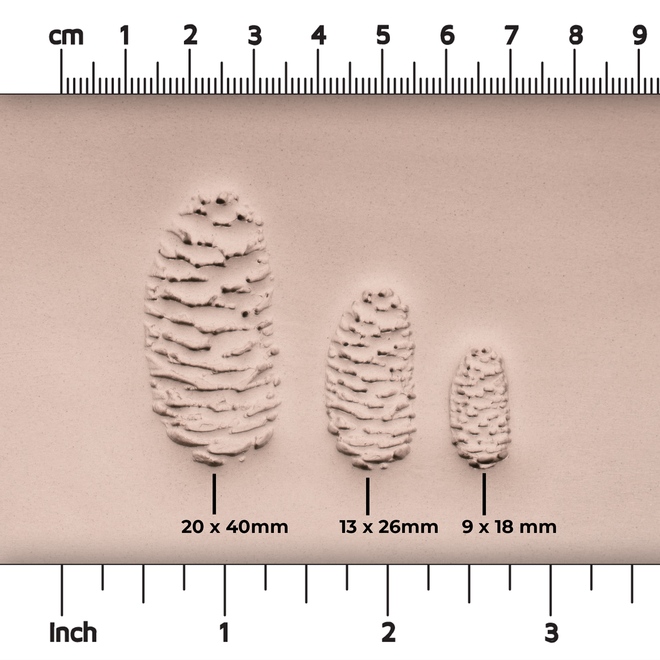 Pinecone Stamp - Photo Textured - Style #2