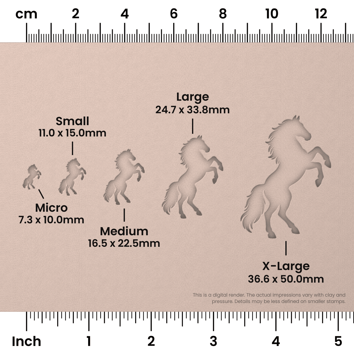Rearing Stallion Horse Stamps