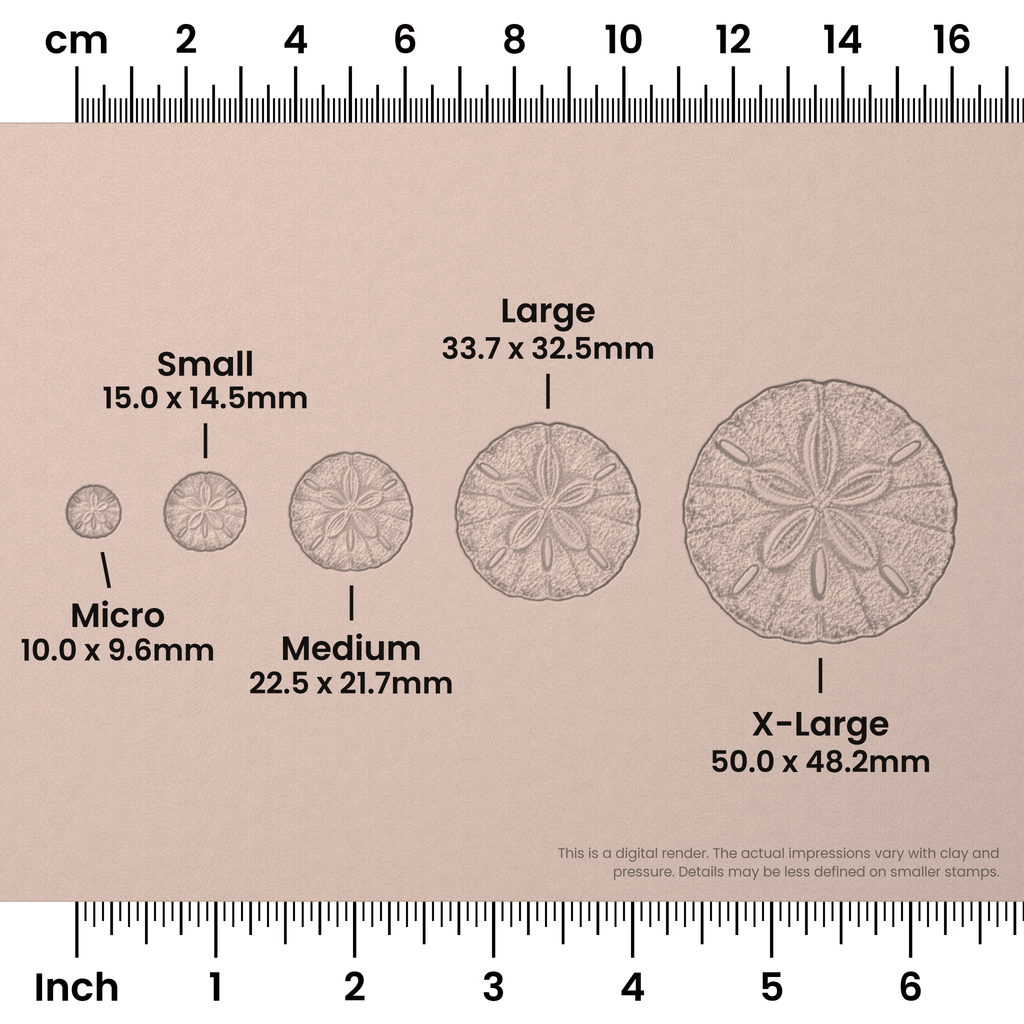 Sand Dollar Stamps - Photo Textured
