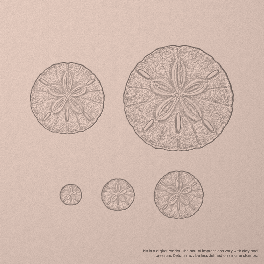 Sand Dollar Stamps - Photo Textured