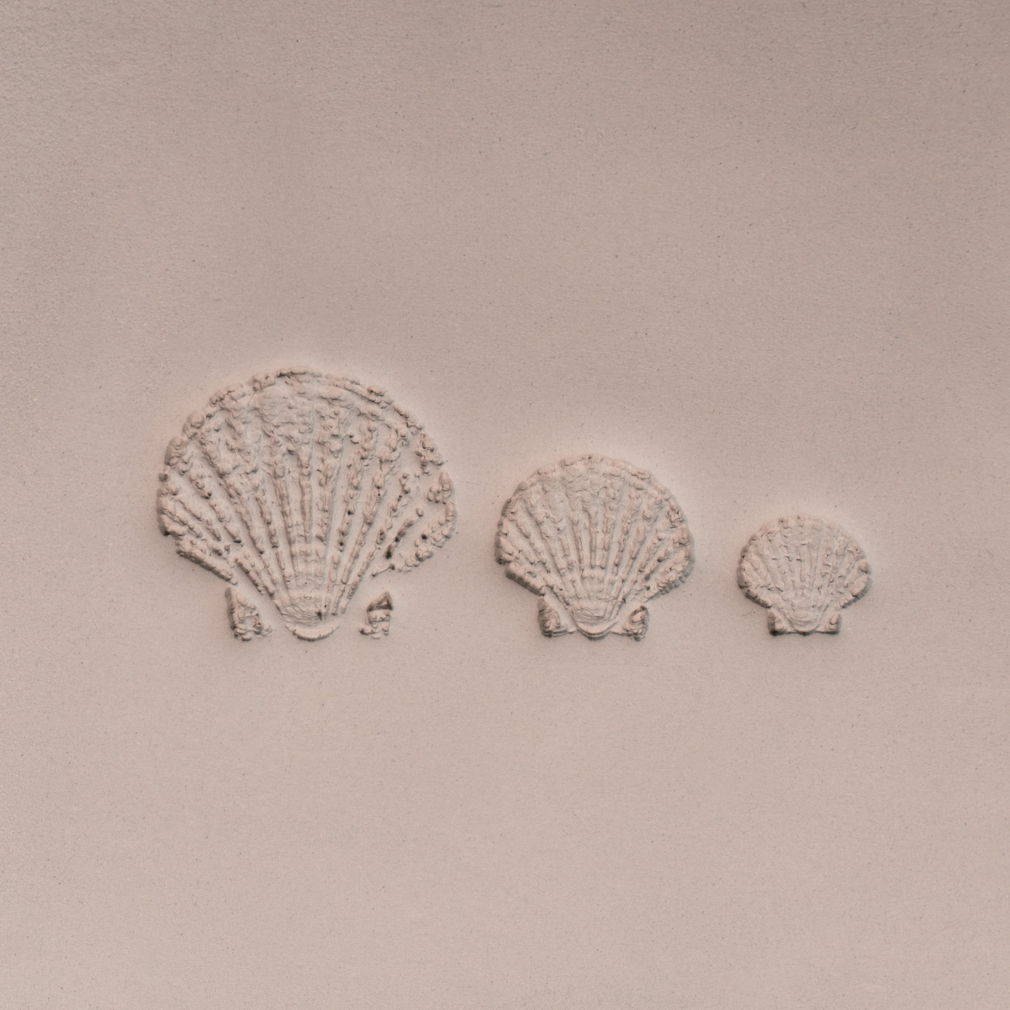 Scallop Shell Stamp - Photo Textured - Style #1