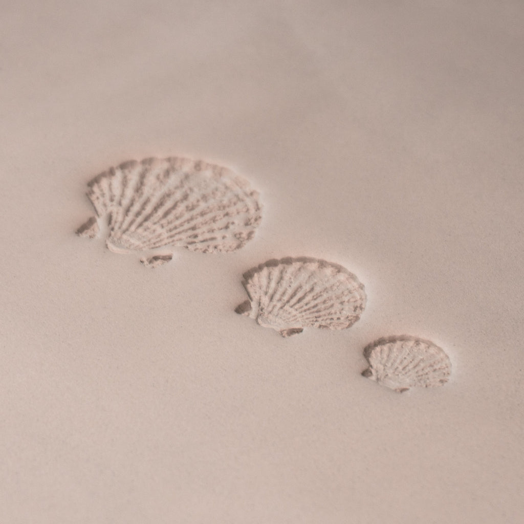 Scallop Shell Stamp - Photo Textured - Style #1