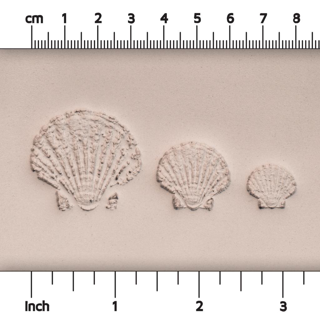 Scallop Shell Stamp - Photo Textured - Style #1