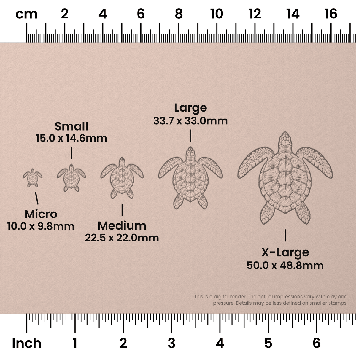 Sea Turtle Stamps - Photo Textured