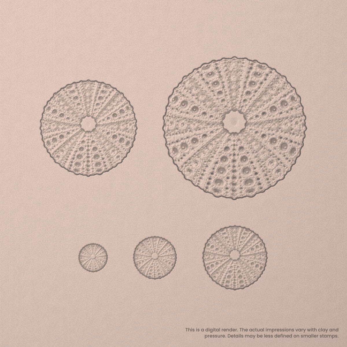 Sea Urchin Stamps - Photo Textured