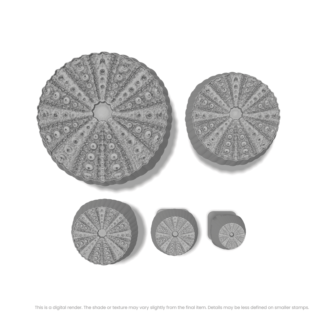 Sea Urchin Stamps - Photo Textured