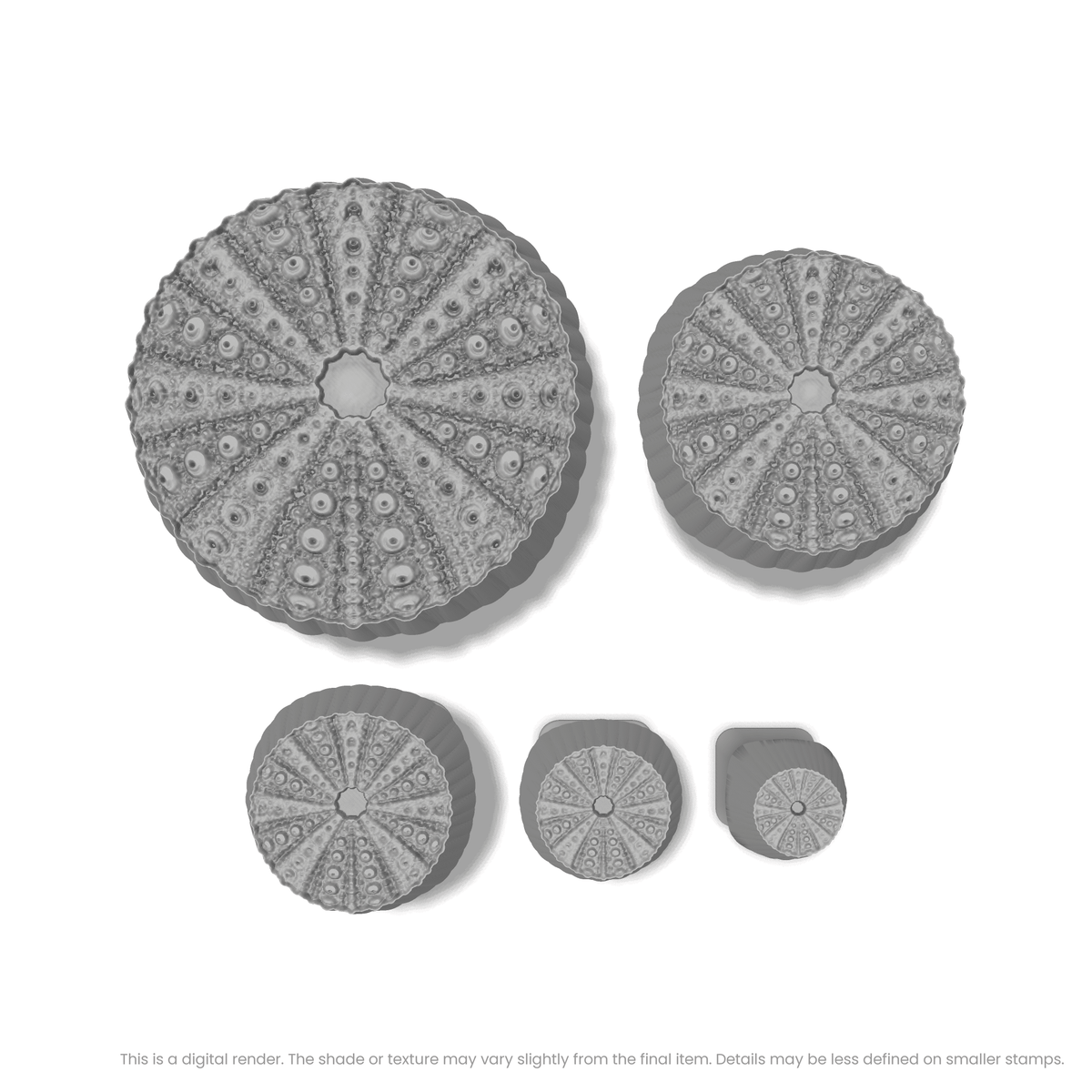 Sea Urchin Stamps - Photo Textured