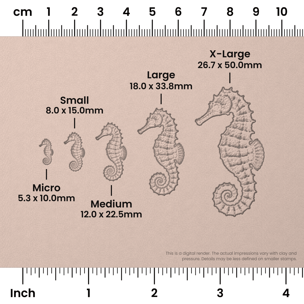 Seahorse Stamps - Photo Textured