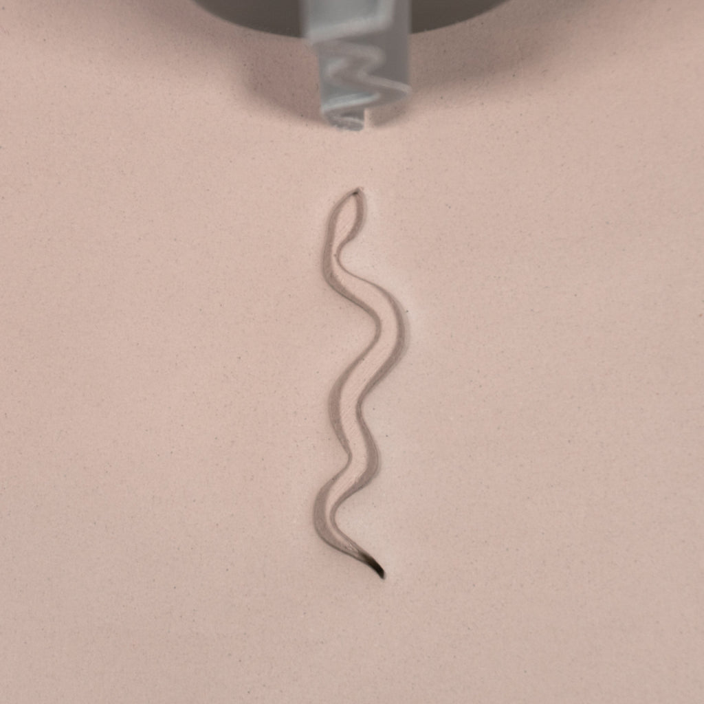 Snake Stamp Set of 6