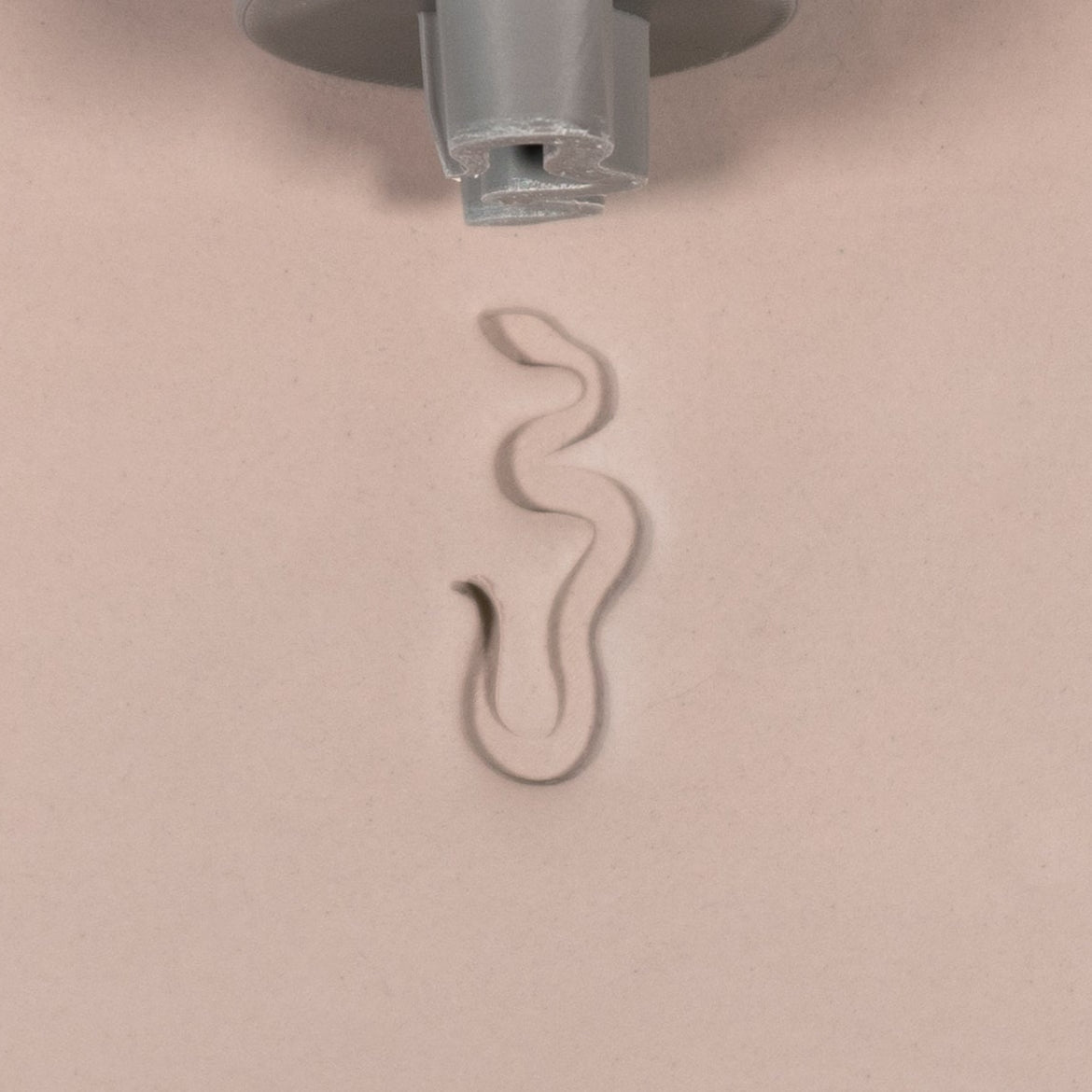 Snake Stamp Set of 6