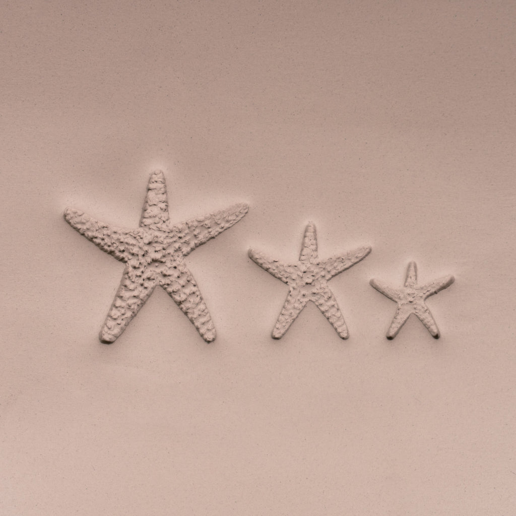 Starfish Stamp - Photo Textured - Style #1