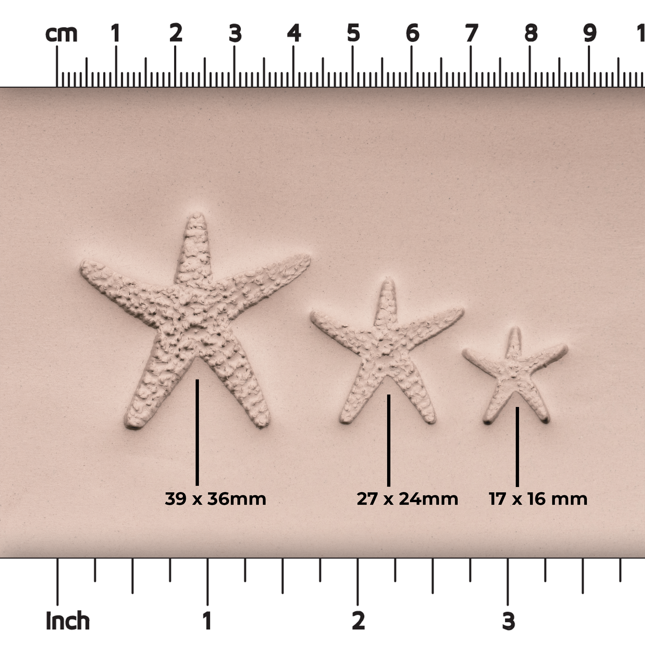 Starfish Stamp - Photo Textured - Style #1