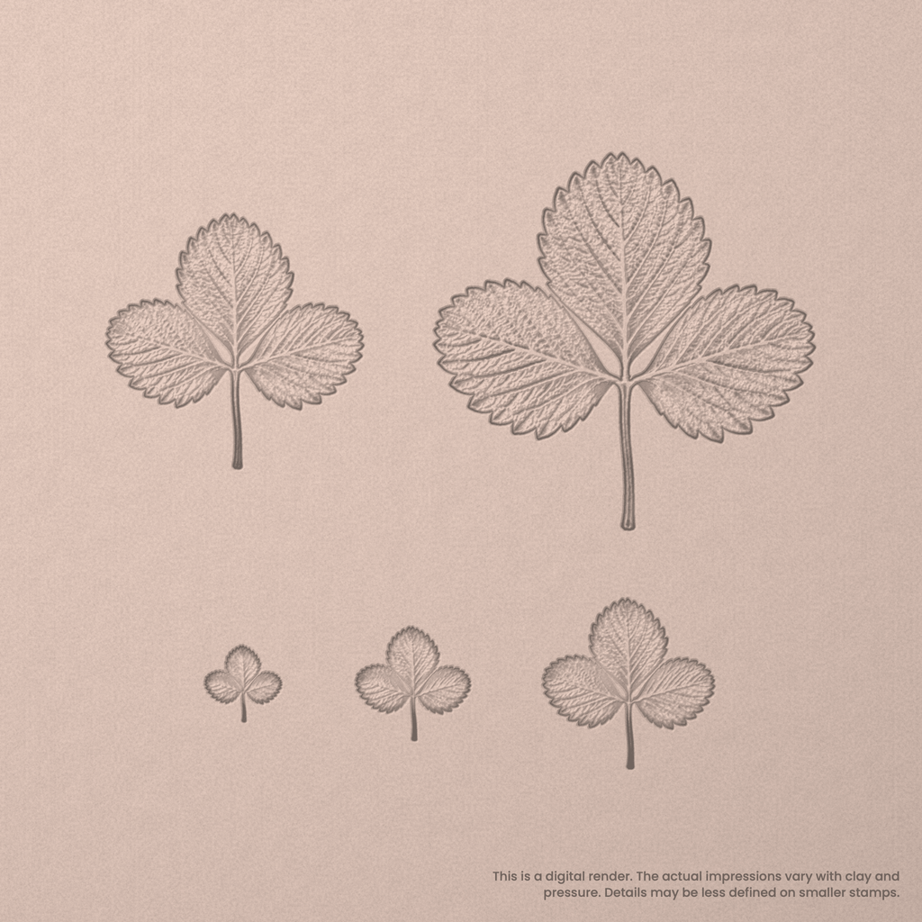 Strawberry Leaf Stamps - Photo Textured