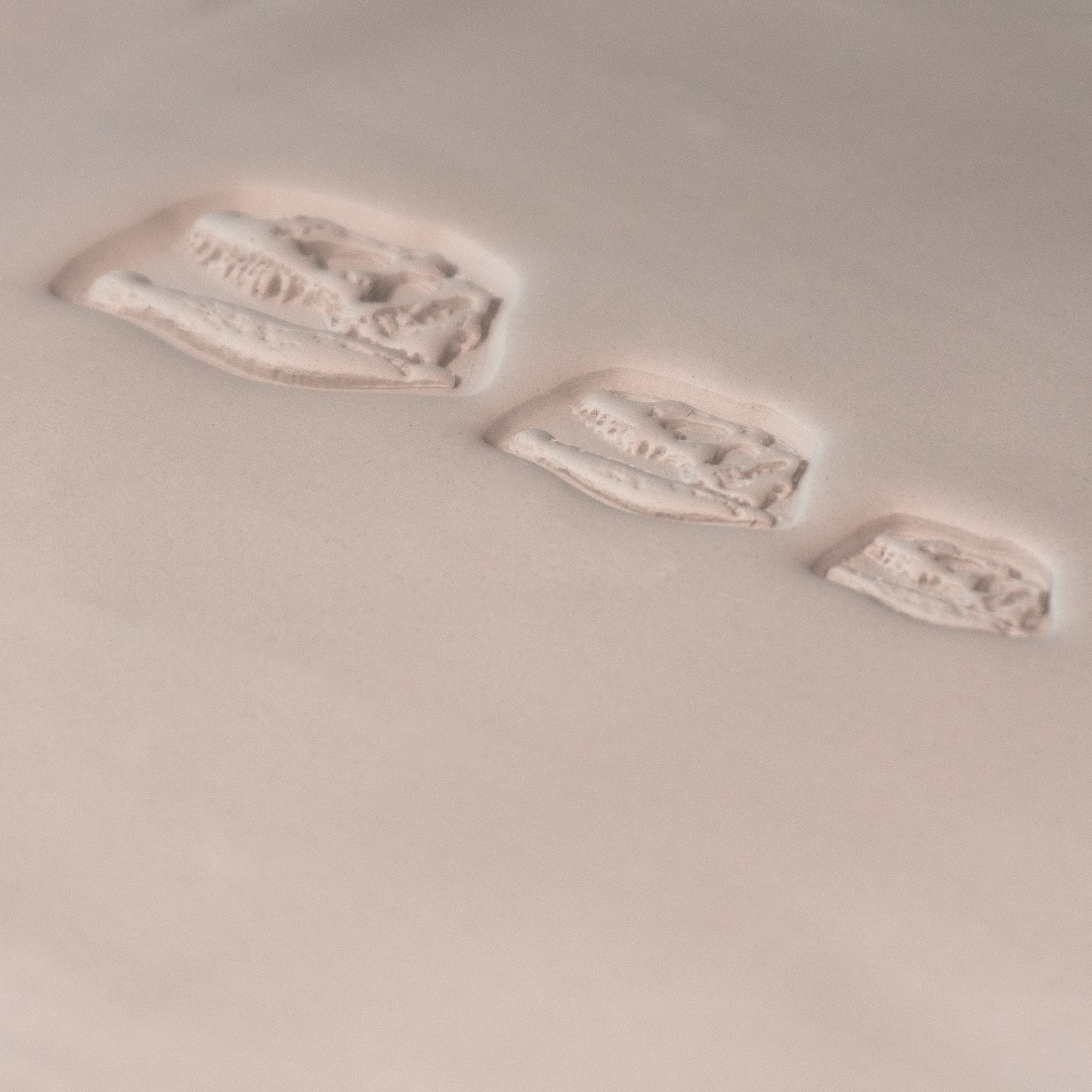 T-Rex Dinosaur Skull Fossil Stamp - Photo Textured - Style #1