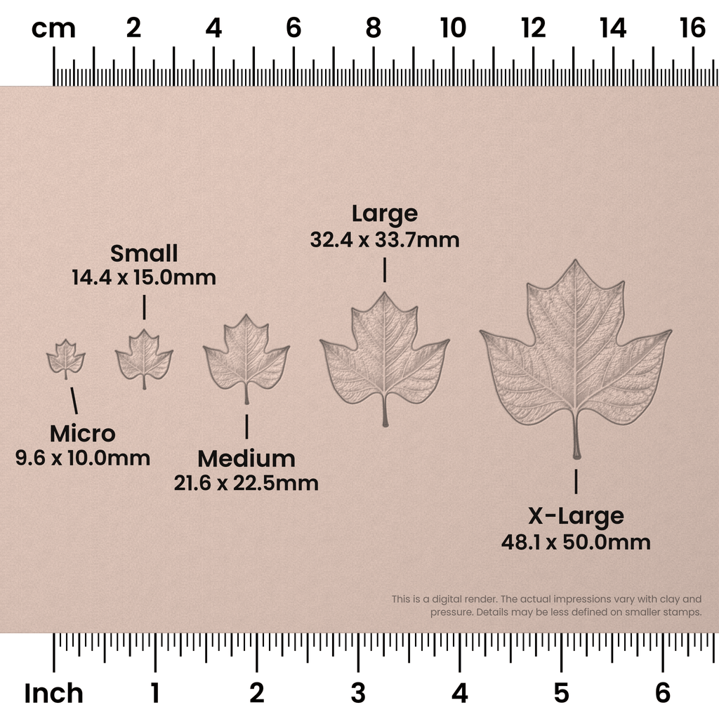 Tulip Tree Leaf Stamps - Photo Textured