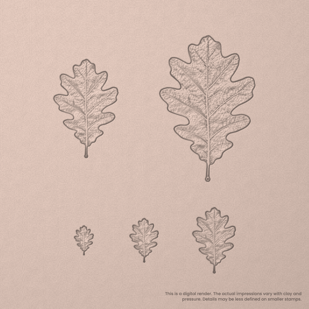 White Oak Leaf Stamps - Photo Textured